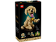Golden Retriever Puppy thumbnail