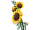Sunflower Bouquet thumbnail