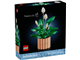 Peace Lily thumbnail
