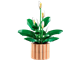 Peace Lily thumbnail