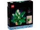 Peace Lily thumbnail
