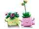Rocking Plants thumbnail