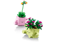 Rocking Plants thumbnail
