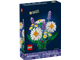 Daisies thumbnail