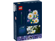 Daisies thumbnail