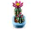 Flowering Cactus thumbnail