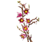 Magnolia Branches thumbnail