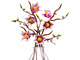 Magnolia Branches thumbnail