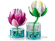 Water Lilies thumbnail