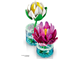Water Lilies thumbnail