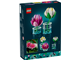 Water Lilies thumbnail