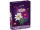 Cosmos Flowers thumbnail