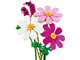 Cosmos Flowers thumbnail