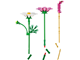 Cosmos Flowers thumbnail