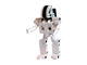 Asimo Robot thumbnail