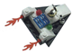 Space Probe thumbnail