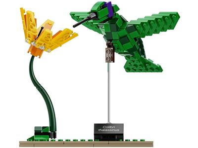 Lego ideas 2025 21301