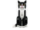 Tuxedo Cat thumbnail
