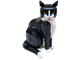 Tuxedo Cat thumbnail
