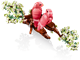 Love Birds thumbnail