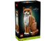 Orange Cat thumbnail