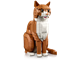 Orange Cat thumbnail