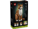 Orange Cat thumbnail