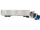 Color Line Container Lorry thumbnail