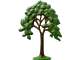 Six Trees and Bushes thumbnail