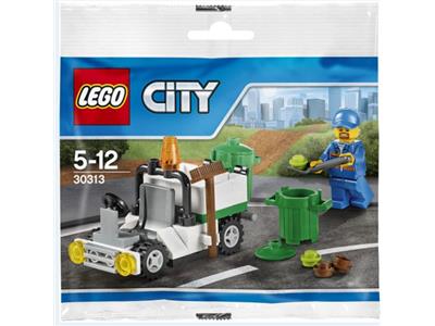 lego 30313