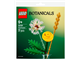 Field Flowers thumbnail
