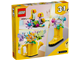 Flowers in Watering Can thumbnail