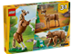 Beautiful Horse thumbnail