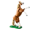 Beautiful Horse thumbnail