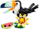 Wild Animals Tropical Toucan thumbnail