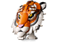 Tiger thumbnail