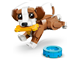 Cute Animals Playful Puppy Dog thumbnail