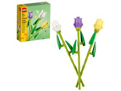 洋楽 ImporttedTromEuropeStanGetz Amazon.com: LEGO System A/S LEGO 40461 Tulips Flower Bouquet