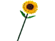 Sunflowers thumbnail