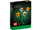 Daffodils thumbnail