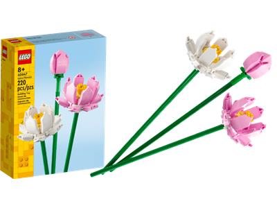 LEGO 40647 Les fleurs de lotus (Icons) (Botanical Collection) - Autour des  Briques