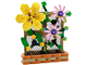 Flower Trellis Display thumbnail