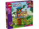Friendship Tree House Hangout thumbnail