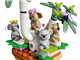 Koala Habitat & Care Center thumbnail