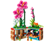 Moana's Flowerpot thumbnail