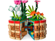 Moana's Flowerpot thumbnail