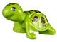 Tropics Turtle thumbnail