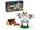 Hedwig at 4 Privet Drive thumbnail