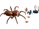 Aragog In The Forbidden Forest thumbnail