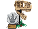 Dinosaur Fossils T. rex Skull thumbnail